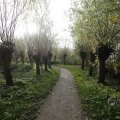 IMG_1483450