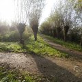 IMG_1483462
