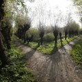 IMG_1483468