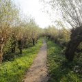 IMG_1483503