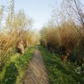 IMG_1483508