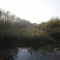 IMG_1483518