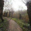 IMG_1483531