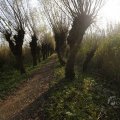 IMG_1483538