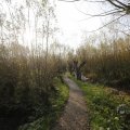 IMG_1483548