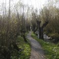 IMG_1483550