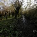 IMG_1483552