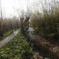 IMG_1483554