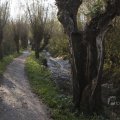 IMG_1483563