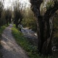 IMG_1483564