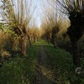 IMG_1483568