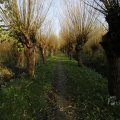 IMG_1483569