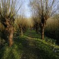 IMG_1483570