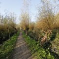 IMG_1483572