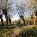 IMG_1483573