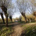 IMG_1483574