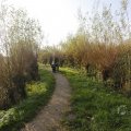 IMG_1483575