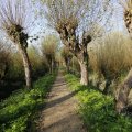 IMG_1483578