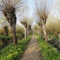 IMG_1483579