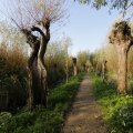 IMG_1483583