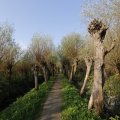 IMG_1483586