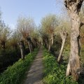 IMG_1483587