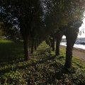 IMG_1483595