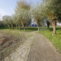IMG_1483599