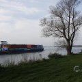 IMG_1483608