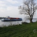 IMG_1483609