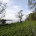 IMG_1483617