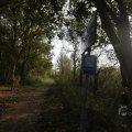 IMG_1483667