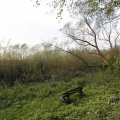 IMG_1483671