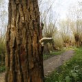 IMG_1483675