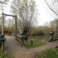 IMG_1483748