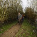 IMG_1483822