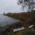 IMG_1483853