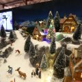 IMG_1483997