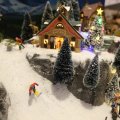 IMG_1484006