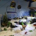 IMG_1484010