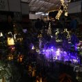 IMG_1484014