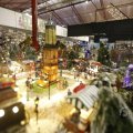 IMG_1484029