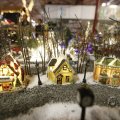 IMG_1484031