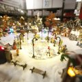 IMG_1484045