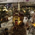 IMG_1484046