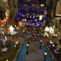 IMG_1484062