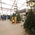 IMG_1484095