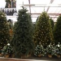 IMG_1484102