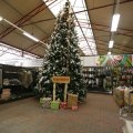IMG_1484109