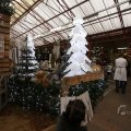 IMG_1484143